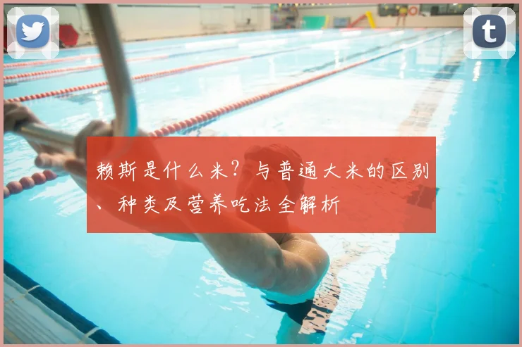 赖斯是什么米？与普通大米的区别、种类及营养吃法全解析